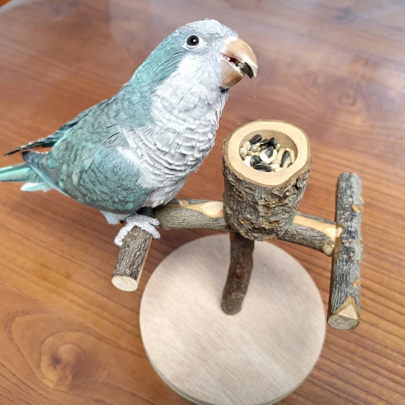 Natural Wood Toy Pet Parrot Raw Wood Stand With wooden feeding bowl Rack Squirrel Bird Hamster Branch Perches Chew Bite Toys