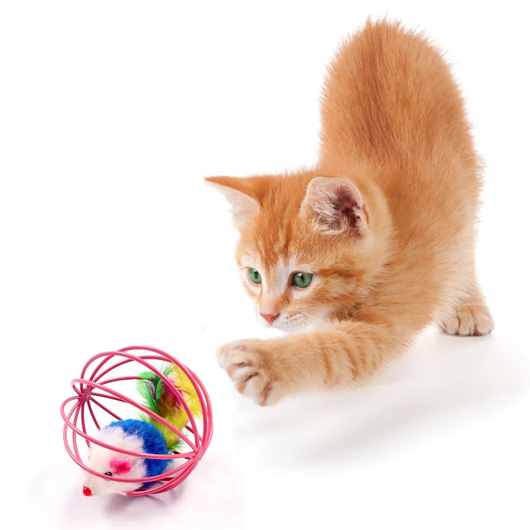Funny Feather Mice Ball Cage For Kitten Creative Playing Toys Pet Products Play Cat Mouse Toy
