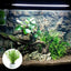 Aquarium Plant Weights Ceramic Water Plant Weights Pot Anti-Floating Aquarium Decoration Fish Tank Landscape Decoration