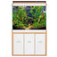 SOBO Aquarium Fish Tank Ecological Black glass indoor fish aquarium for aquarium fish