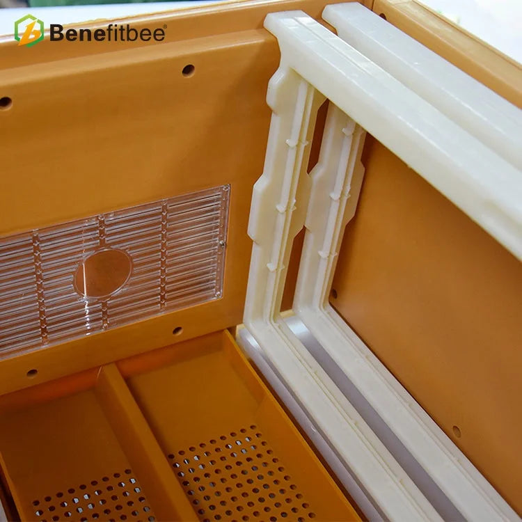 Benefitbee Polystyrene plastic bee hive box 2 layers multifunctional beehive for beekeeping