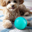 Automatic Rolling Ball Toys Safe Dog Toy Balls Bite Resistant Dog Toys Puppy Toys Fun Interactive Play for Pet Dog Puppy