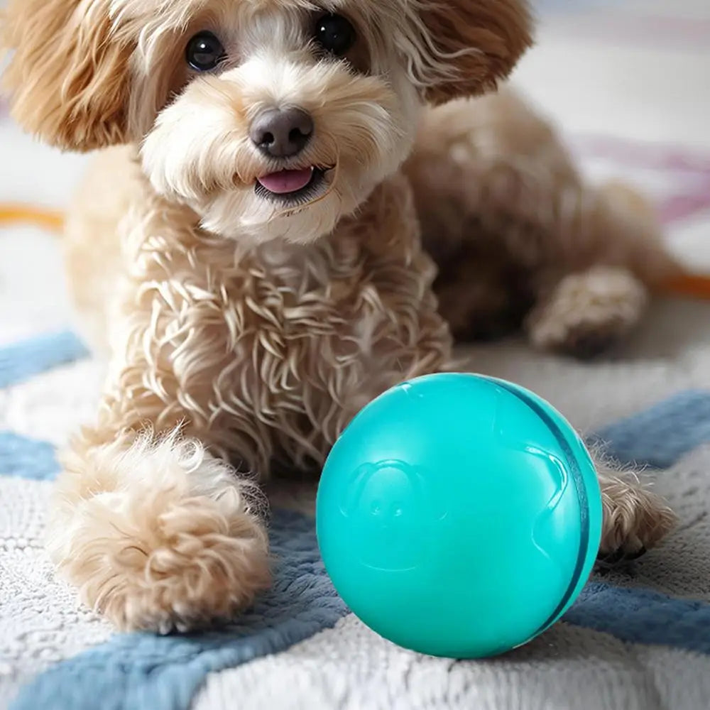Automatic Rolling Ball Toys Safe Dog Toy Balls Bite Resistant Dog Toys Puppy Toys Fun Interactive Play for Pet Dog Puppy