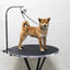 Pet Beauty Table Hanging Fixing Rope Shearing Shower Cat Dog Fixture Leash for Dogs Puppy Yorkies mascotas Grooming Accessories