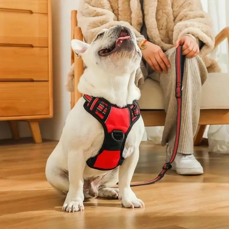 Pet dog chest back anti impact reflective vest style chest back large medium cat dog chest back traction rope set dog harness