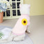 Autumn Winter Sphynx Cat Clothes Korean Pet Sweater for Cats Gotas Katten Kedi Pullovers Dog Hoodie mascotas Costume Clothing