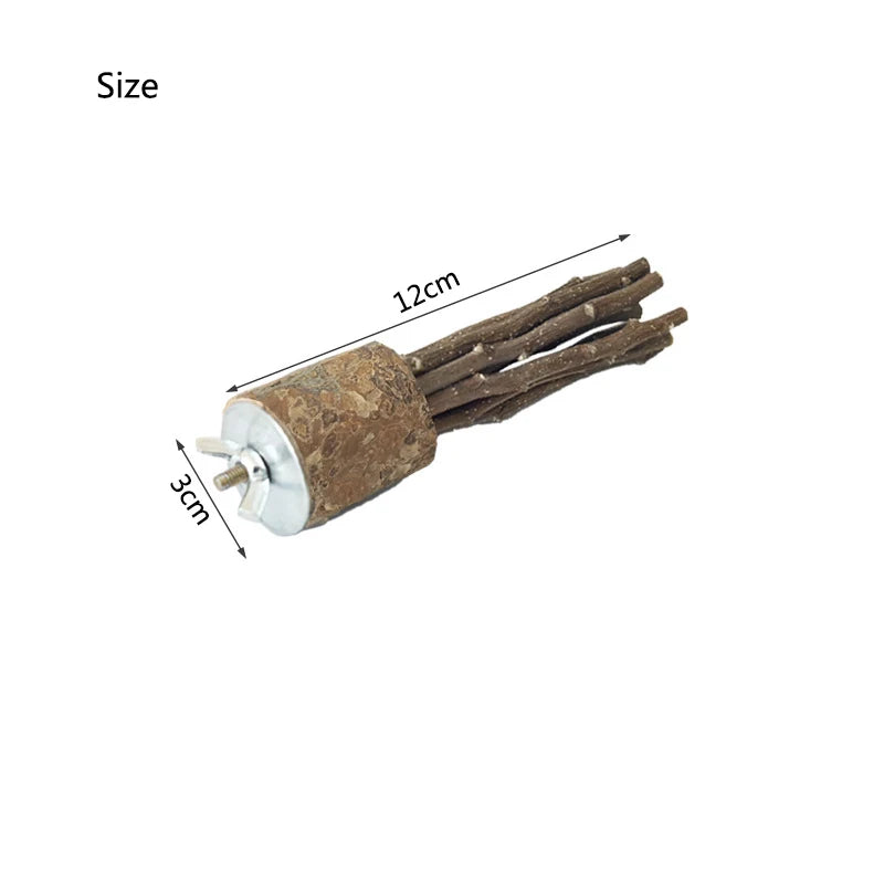 Natural Apple Tree Wood Pet Parrot Raw Wood Fork Tree Branch Stand Rack Squirrel Bird Hamster Branch Perches Chew Bite Toys New