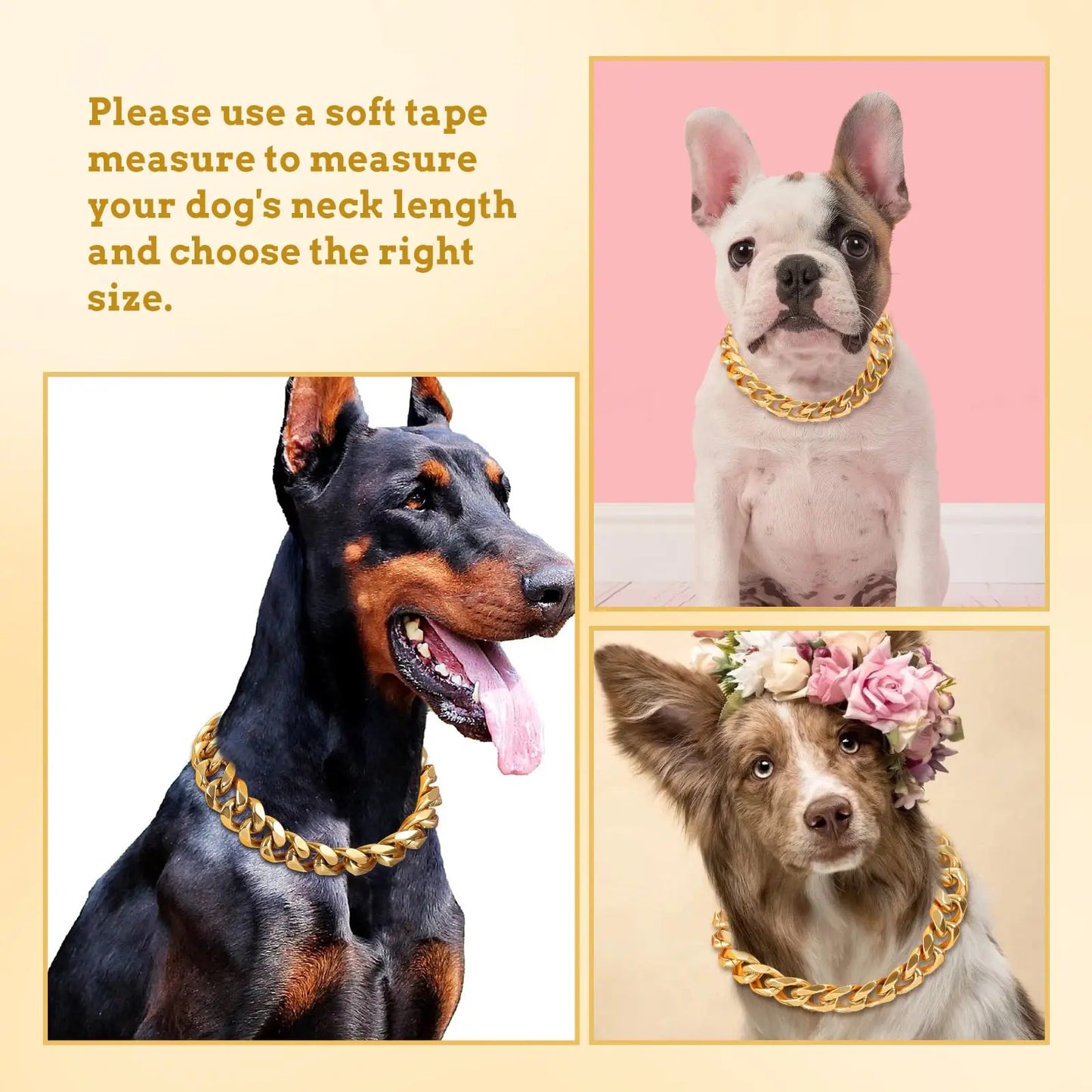 19MM Chew Proof Gold Dog Chain Collar Stainless Steel  Collars with Solid Buckle Pet Chains for Large Dogs