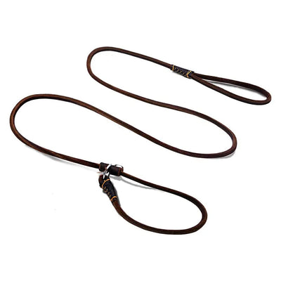 Slip Dog Leash Soft Thin Handmade Genuine Leather Pet Puppy Dog Chain Collar Leash Slip for Small Medium Dogs Training & Walking