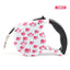 5m Durable Dog Leash Automatic Retractable Nylon Dog Lead Extending Puppy Walking Leads for Small Dog Chihuahua Pug Pet Supplies