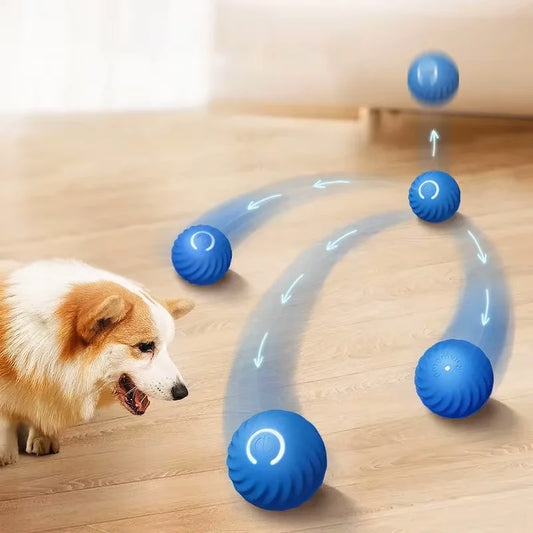 1pcs Dog Toys Intelligent Gravity Jump Ball Rechargeable Bite-Resistant Rolling Ball Cat And Dog Chase Interactive Pet Toys
