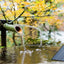 2.5W Solar Fountain Pump,with 6Nozzles and 4ft Water Pipe,Solar Powered Pump for Bird Bath,Pond,Garden and Other Places