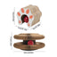Cardboard Cat Toy Foldable Cat Scratcher Cardboard With Ball Kitty Scratching Post Cat Ball Track Accordion Toys cat toy