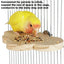 Bird Perches for Cage Natural Wooden Platform Stand for Parrot Bird Perch Stand Toy Stand Playground Budgie Toys Parakeet Cage