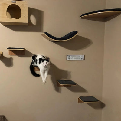 1 Piece Wall Mounted Cat Wood Shelf Cat Hammock and Jumping Platform with Stairway for Kittens Indoor Furniture Playing