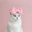 Lovely Bow Tie Hair Hoop for Cats Princess Cat Party Head Wear Pet Gifts Small Medium Dogs Accessories Elastic Cats Pet Products