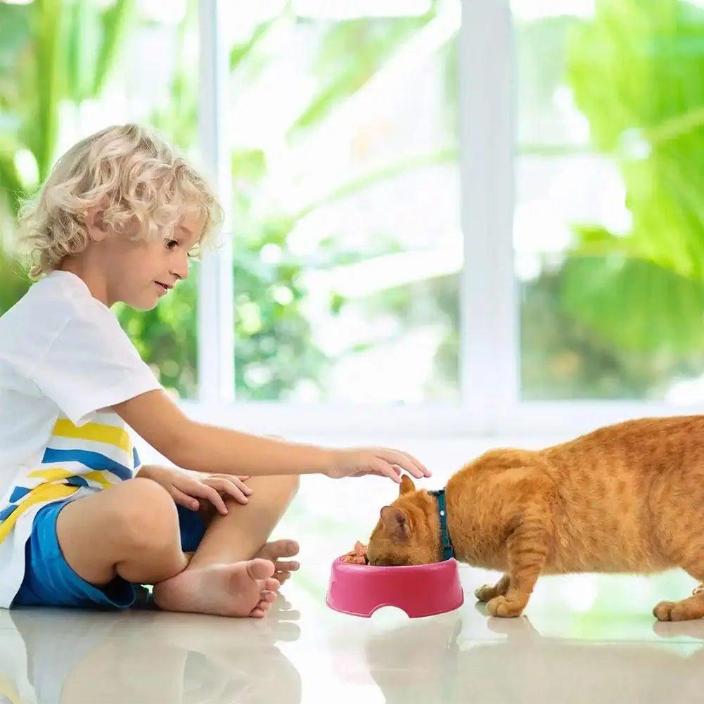 Candy Color Plastic Pet Round Bowl Cat And Dog Food Bowl Pet Small Cat And Dog Tableware Wholesale Easy To Clean Colorful