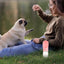 350ml Dog Water Bottles For Walking Leak Proof Portable Dog Water Dispenser Drinking Pet Water Container for Puppy Small Medium
