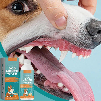 Dog Breath Water Additive 100ml Dog Teeth Cleaner Wash Effective Dog Teeth Cleaner Wash Natural Teeth Cleaning Freshener For