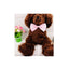 Pet Dog Cat Necklace Adjustable Strap for Cat Collar Dogs Accessories pet dog bow tie puppy bow ties dog Pet supplies