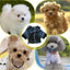 Pet Shirts Soft Loungewear Puppy Clothes Small Dog Cats Pajamas Bulldog Chihuahua Pjs Dog Cat Comfortable Breathable Outfit