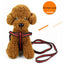 190cm Elastic Dog Leash Pet Cat Puppy Anti Dash Pull Dog Lead Leash Retractable Leash For Rabbit Hamster Small Pets Dropshipping