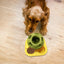 Dog Treat Dispenser Ball Toys Interactive Dog Dispenser Ball for Treats Dog Treat Ball Food Dispensing Toy Puppy Training toys