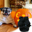Pet Halloween Costumes Pet Clothes Halloween Black Bat Dogs Hoodies Halloween Dogs Hoodies Pet Outfit Clothing Cool Apparel For
