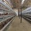 Factory price high quality Hens Chicken Layer Cage Poultry farm equipment