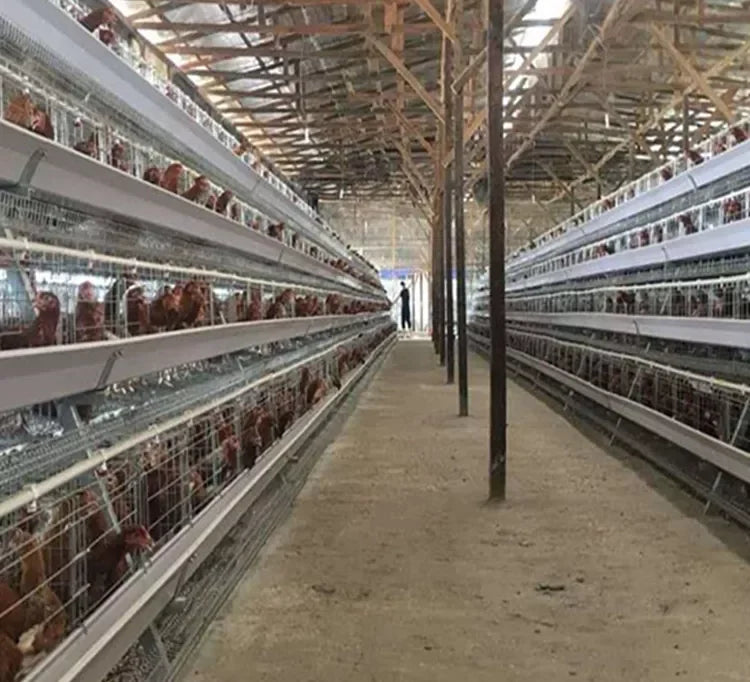 Factory price high quality Hens Chicken Layer Cage Poultry farm equipment