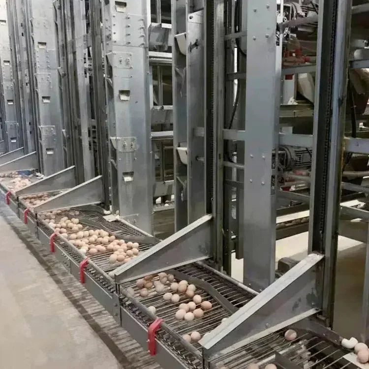 H Type Layer Chicken Cage,Fully Automated Battery Cage Systems, Automated Egg Picking Systems, Customized Purchase on Demand