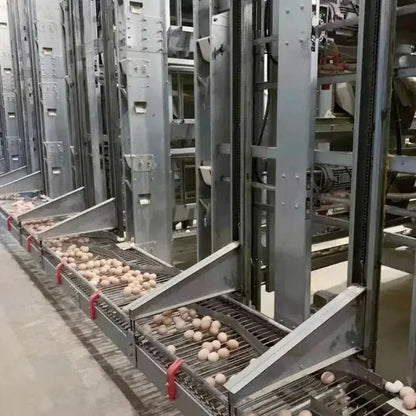 H Type Layer Chicken Cage,Fully Automated Battery Cage Systems, Automated Egg Picking Systems, Customized Purchase on Demand