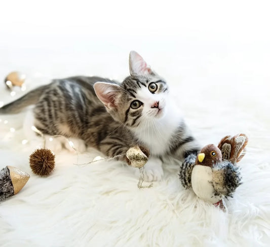 Interactive Cat Toys Electric Squeaky Simulation Bird Plush Cats Pets Teasing Toys with Feather Catnip Kitten Chirping Bird Doll
