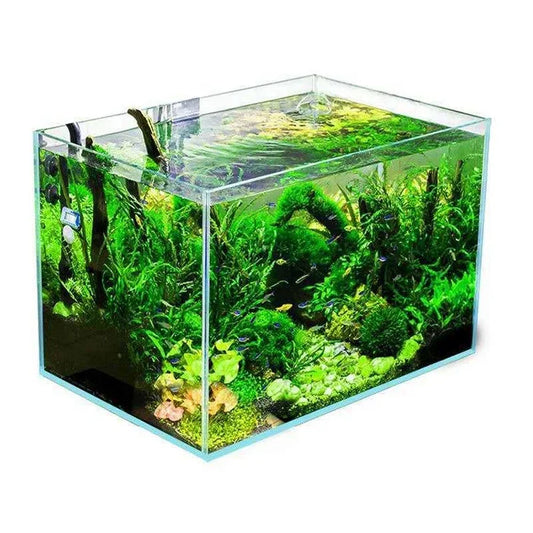Clear and Transparent Small Aquarium Tank Rubber Strip Uniform White Glass Fish Tank Aquarium Glass
