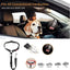 Pet car seat belt rope, circular ring, dog car retractable elastic reflective belt, dog towing rope