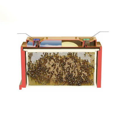 Plastic beekeeping hive honey bee box beehive for bees