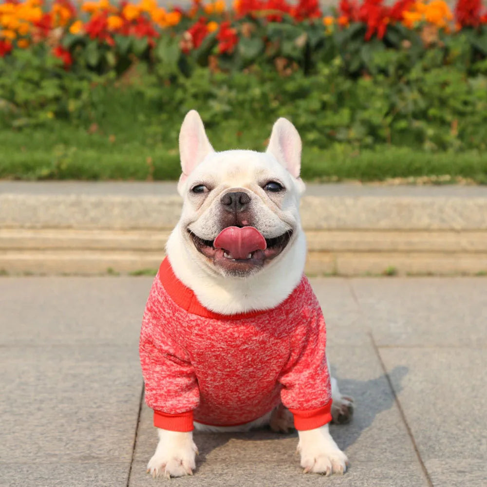 Pet Dog Clothes Knitwear Dog Sweater Soft Thickening Warm Pup Dogs Shirt Winter Puppy Sweater for Dogs Casual Pet Cat Clothing