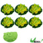 UXCELL 6pcs Artificial Decorations Floating Lotus Flower for Fish Tank Artificial Lotus Flower Plastic Decorative Ornaments