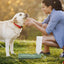 Portable Pet Water Bottle Puppy Water Dispenser Foldable Dog Water Bottles For Walking Leakproof Outdoor Travel Water Bowl For