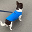 Pet Clothing Dog Fleece Vest Cold Weather Pullover Dog Jacket Winter Dog Clothes Sweater Coat with Leash Ring for Small Dogs Cat
