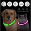 Luminous Dog Collar Light Charge Cat Necklace, Led Fashion Flashing DIY Glowing Safety Collar for Dogs Nighttime Pet Accessorie