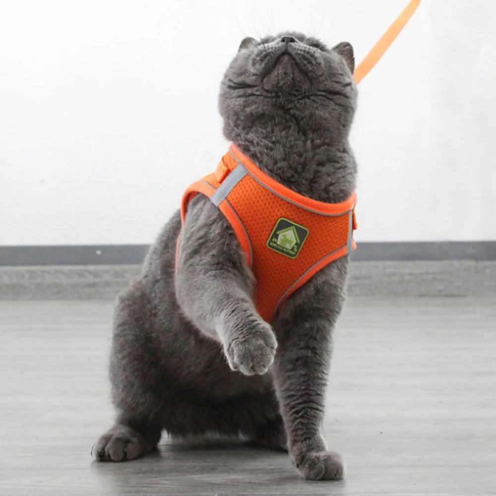 Breathable Cat Harness with Leash Anti-Escape Cat Vest Harness Collar for Kitten Pet Accessories Adjustable Puppy Harness Leads
