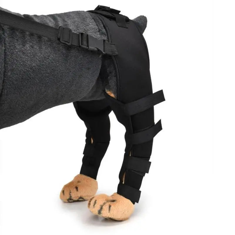 Dog Hip Brace Adjustable Pet Dog Legs Protector Supporter Knee Brace Rear Leg Support Joint Wrap for Pets Legs Recover Supplies