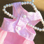 Dog Clothing Cat Clothing Pet Supplies Striped Suspender Mesh Skirt Dress Small and Medium-sized Dog Clothes for Pets