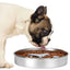 Dog Food Bowl Anti Rust Cat Food Bowl Oven Fridge Safe Pet food Container Dish for Small Medium Size Dogs for Indoor Outdoor