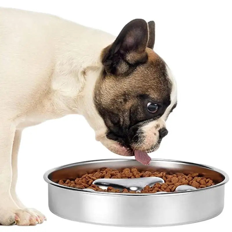 Dog Food Bowl Anti Rust Cat Food Bowl Oven Fridge Safe Pet food Container Dish for Small Medium Size Dogs for Indoor Outdoor