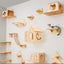 Wall Mounted Cat Climbing Shelves Cat House Cat Bridge Cat Double Platform with Scratching Post and Pedals Stairway for Kittens