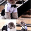Stylish Dog Tuxedo Suit Dog Prince Wedding Shirt Costume Formal Tuxedo with Bowtie Puppy Clothes Dog Jumpsuit for Small Dogs