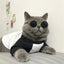 Anti-slip Cat Sunglasses Pet Accessories Small Dog Sun Glasses Classic Retro Circular Glasses for Kitten Photos Props Cosplay