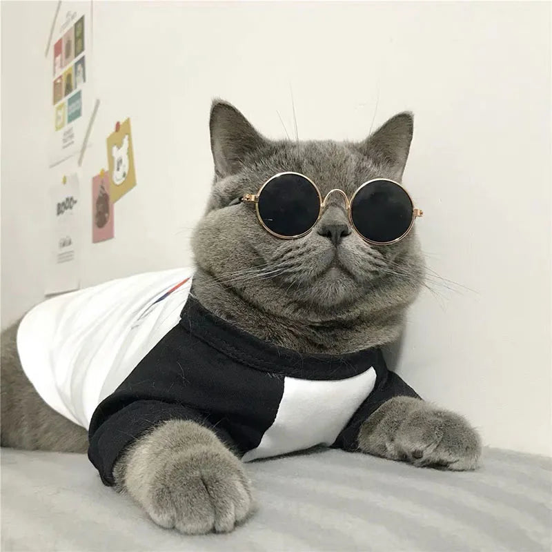 Anti-slip Cat Sunglasses Pet Accessories Small Dog Sun Glasses Classic Retro Circular Glasses for Kitten Photos Props Cosplay